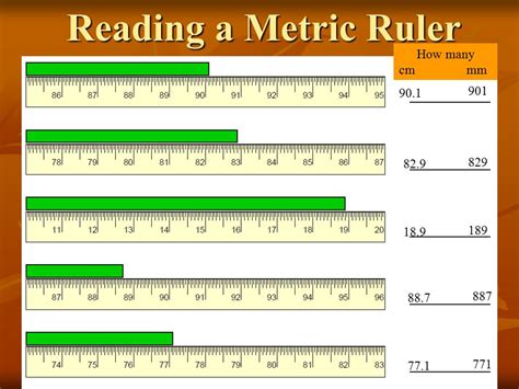reading a ruler metric system worksheet 1